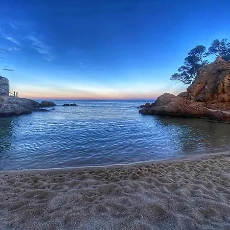 Direct Beachpetfriendly By Rinconesmediterraneos Calonge (Catalonia)