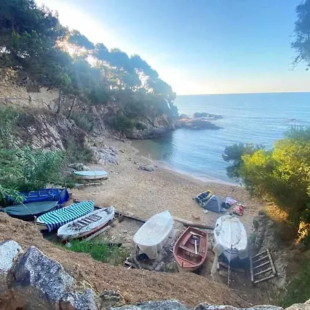 Direct Beachpetfriendly By Rinconesmediterraneos *