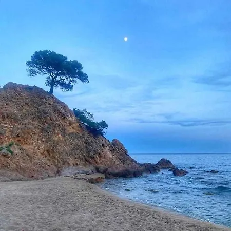 Direct Beachpetfriendly By Rinconesmediterraneos Apartment Calonge (Catalonia)