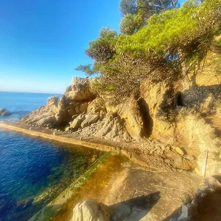 Direct Beachpetfriendly By Rinconesmediterraneos Calonge (Catalonia)